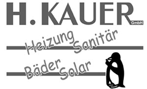 Kauer Logo